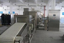 微波幹燥設備 微波幹燥設備